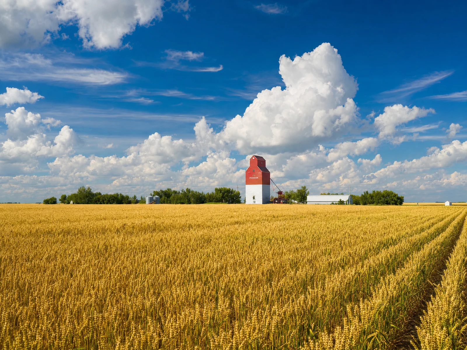 Saskatchewan prairie landscape and big sky representing the communities BOMCAS Canada serves